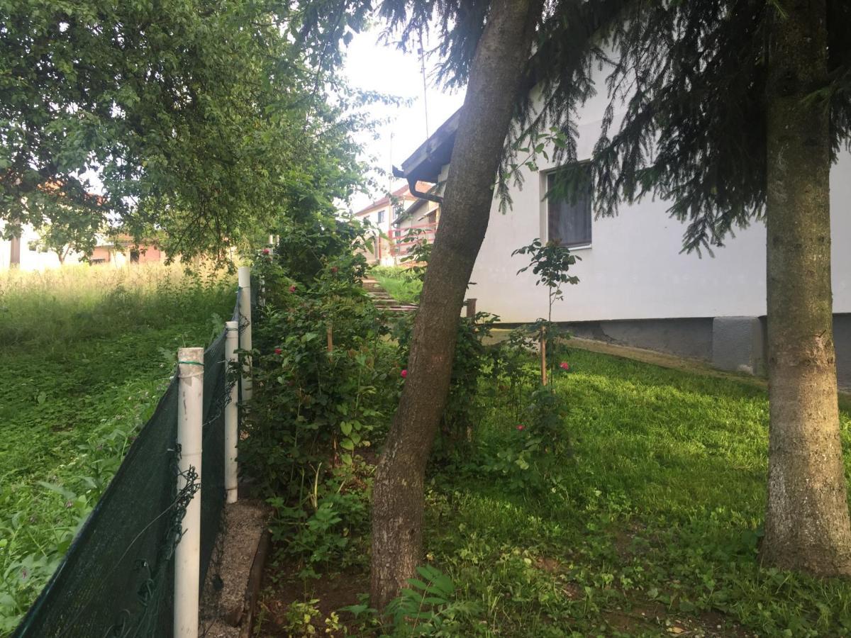 Dolores Tesanj Zewnętrze zdjęcie