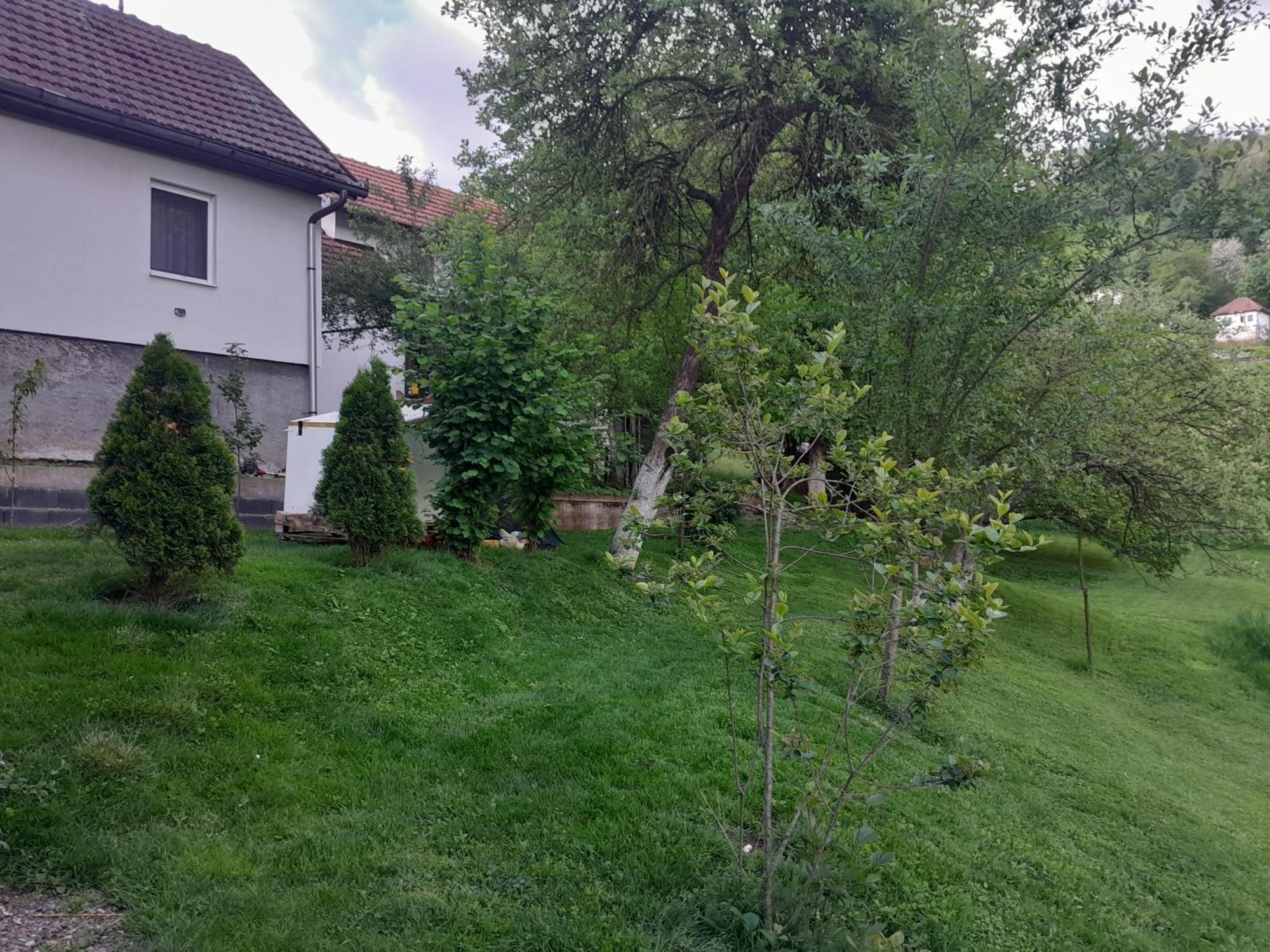 Dolores Tesanj Zewnętrze zdjęcie