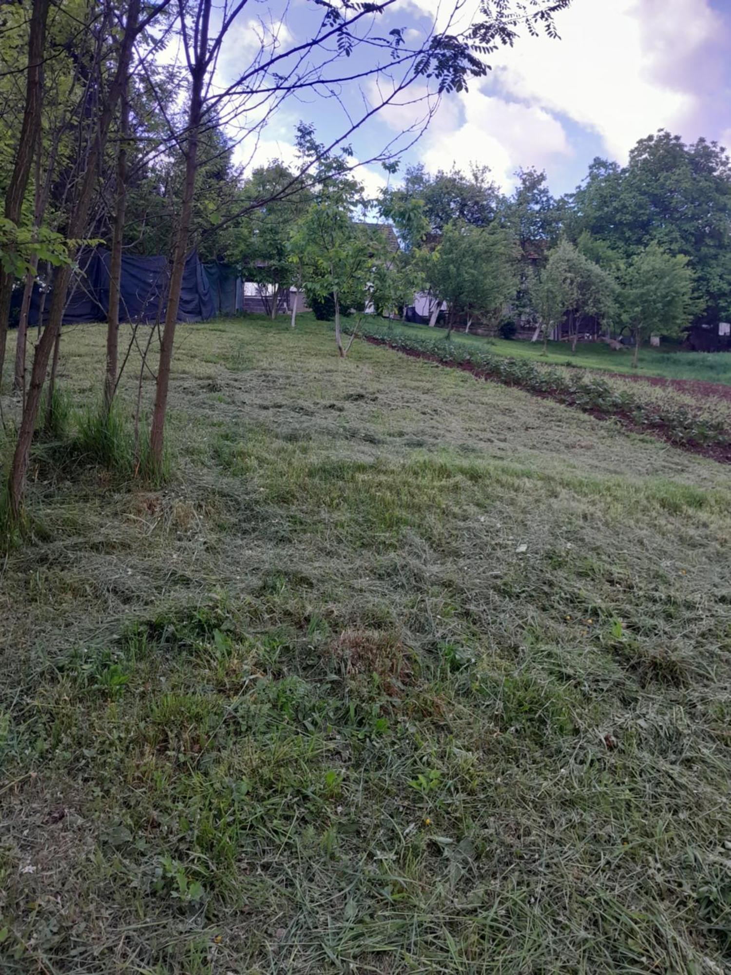Dolores Tesanj Zewnętrze zdjęcie