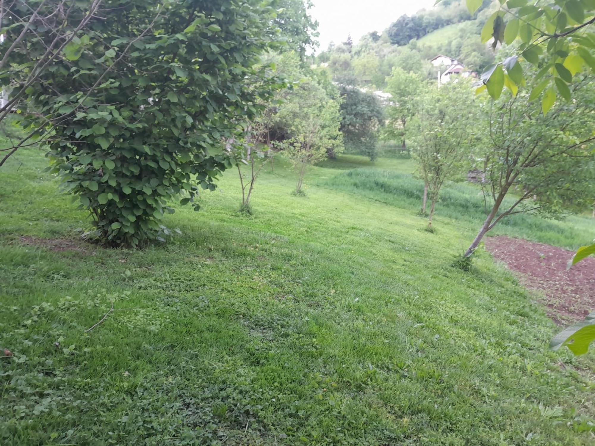 Dolores Tesanj Zewnętrze zdjęcie